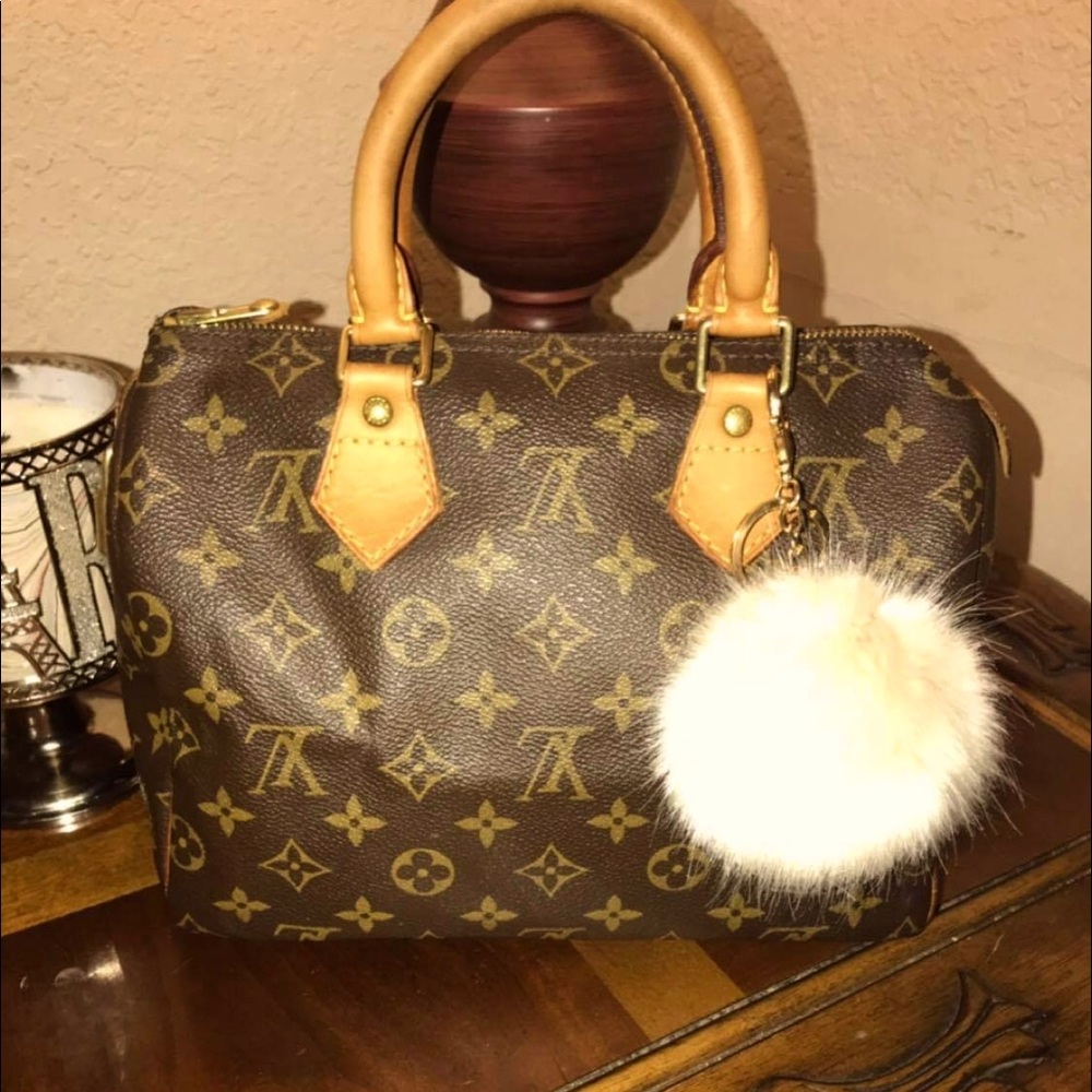 Louis Vuitton Brown and Tan Monogram Bag